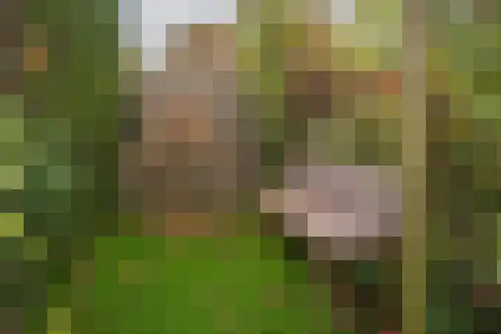 De Pelikaan 60 Almelo thumbnail 37