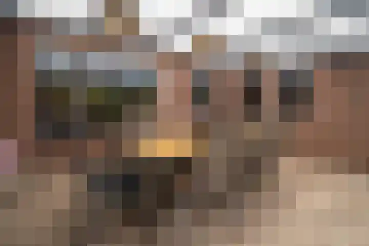 De Pelikaan 60 Almelo thumbnail 38