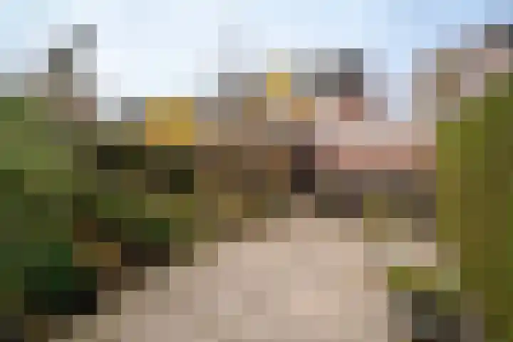 De Pelikaan 60 Almelo thumbnail 39