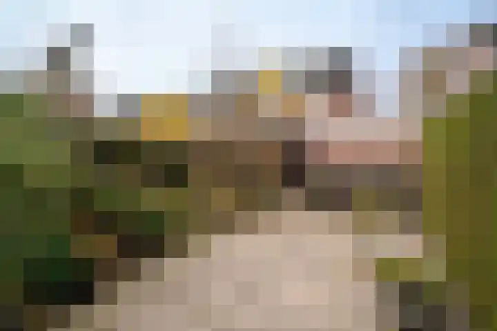 De Pelikaan 60 Almelo thumbnail 4