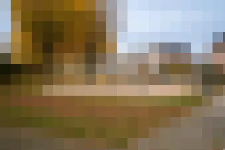 De Pelikaan 60 Almelo thumbnail 40