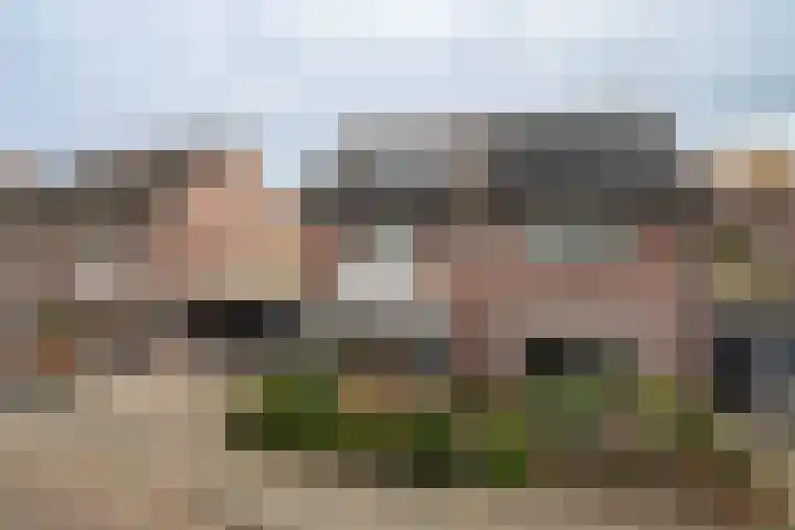 De Pelikaan 60 Almelo thumbnail 6