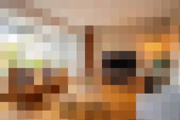 De Pelikaan 60 Almelo thumbnail 9