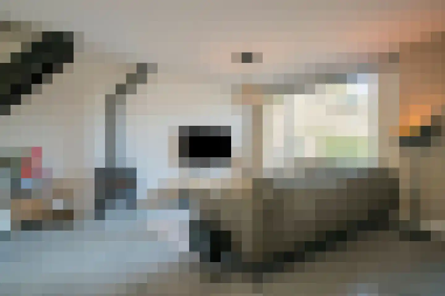 De Pellenwever 24 Boxtel thumbnail 10