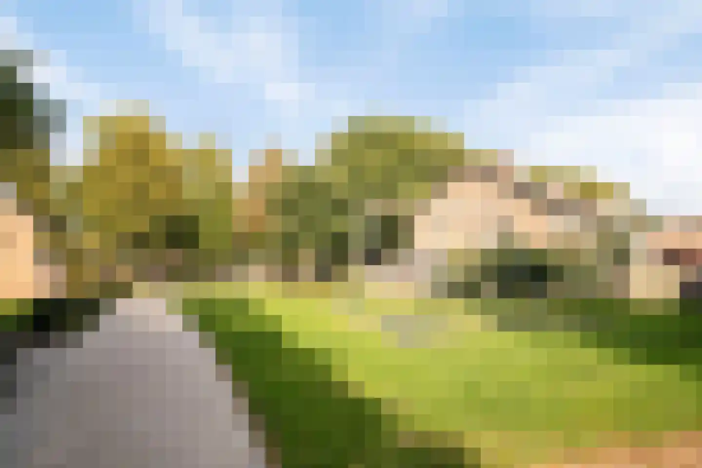 De Pellenwever 24 Boxtel thumbnail 30