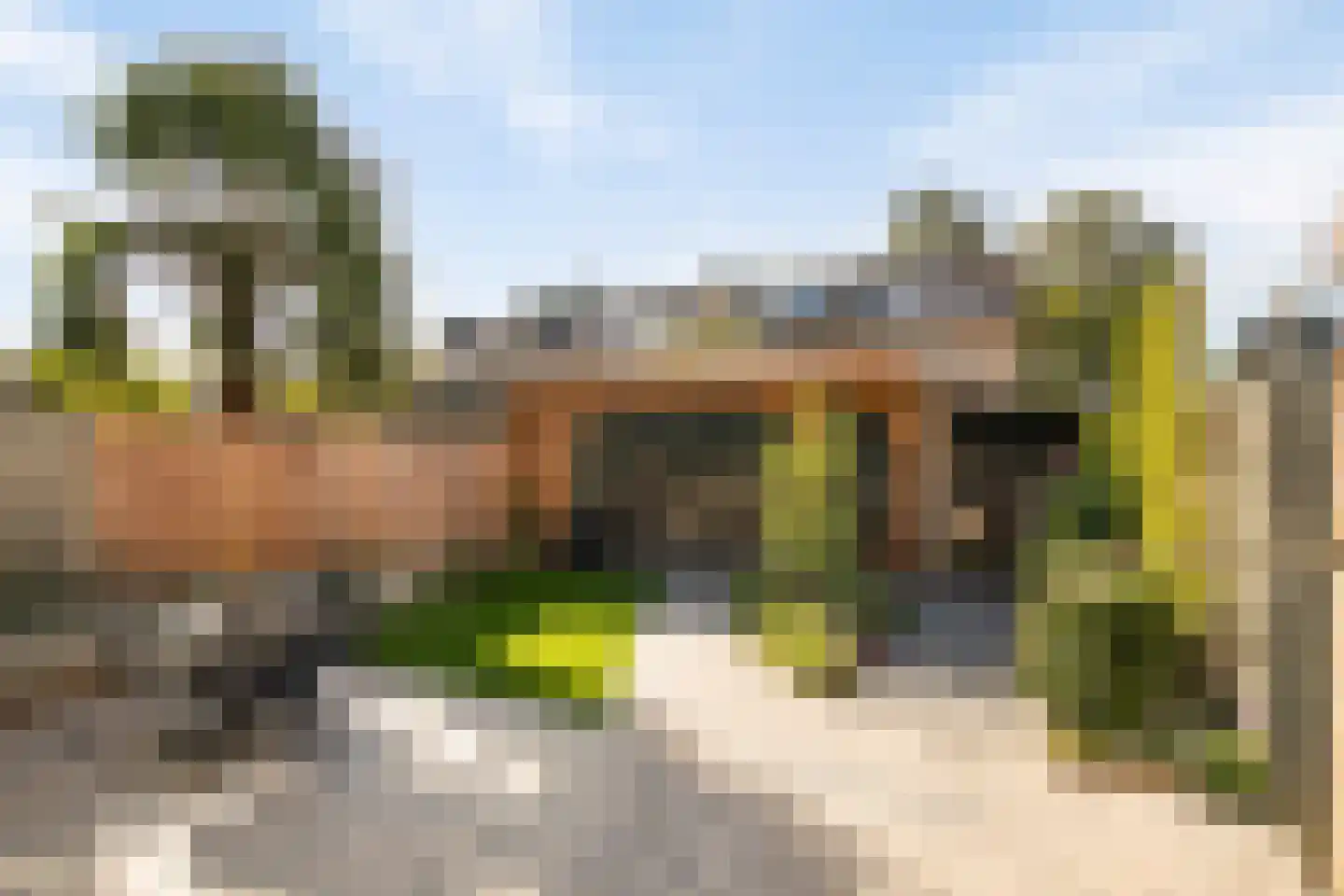 De Pellenwever 24 Boxtel thumbnail 6
