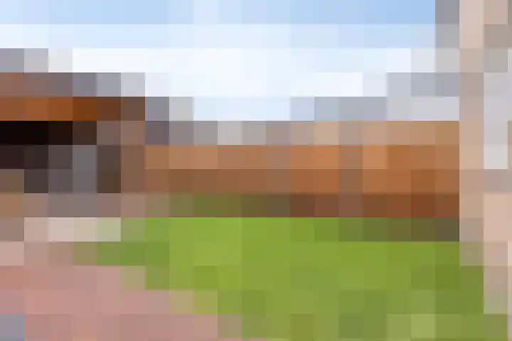De Pellenwever 42 Boxtel thumbnail 31