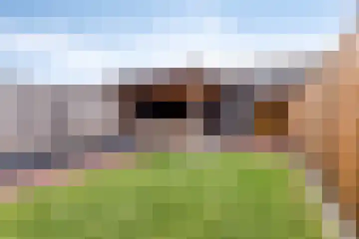 De Pellenwever 42 Boxtel thumbnail 5