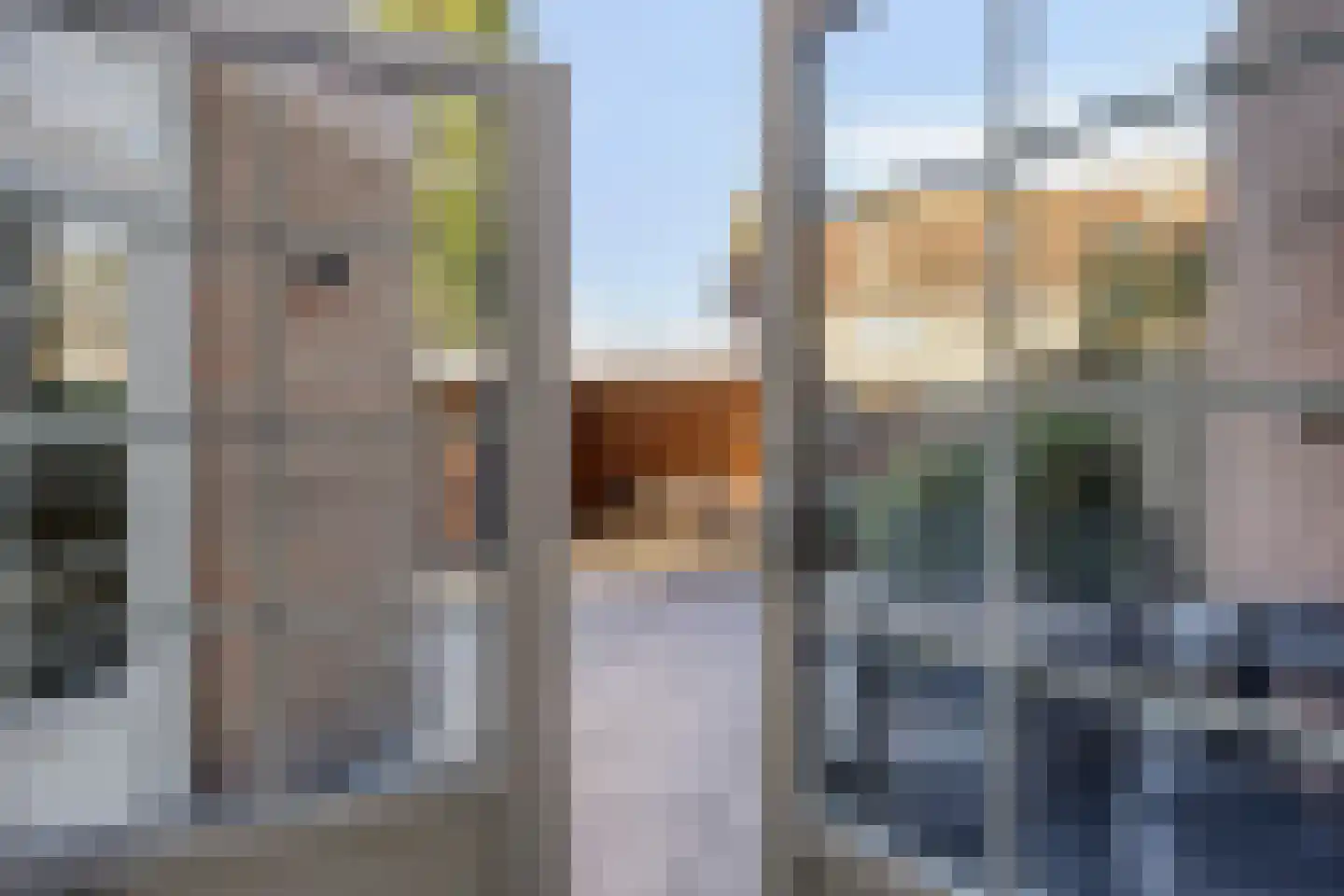 De Pellenwever 90 Boxtel thumbnail 27