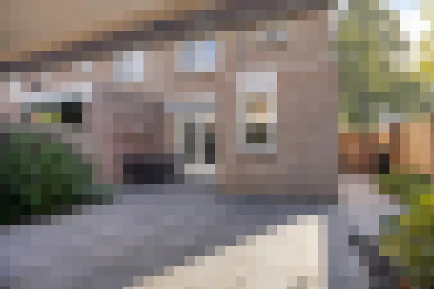 De Pellenwever 90 Boxtel thumbnail 31