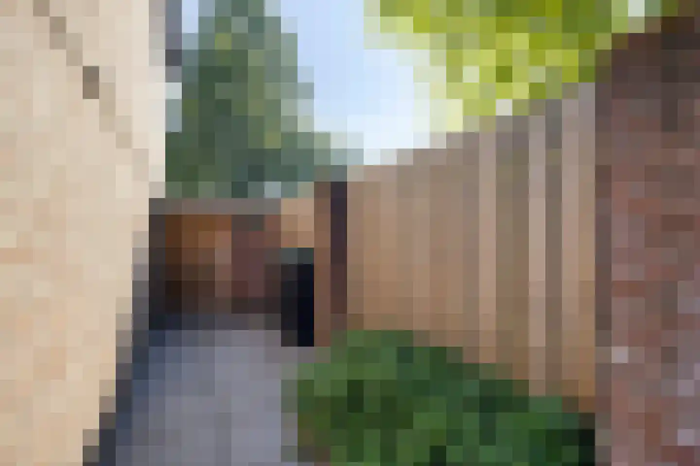 De Pellenwever 90 Boxtel thumbnail 32