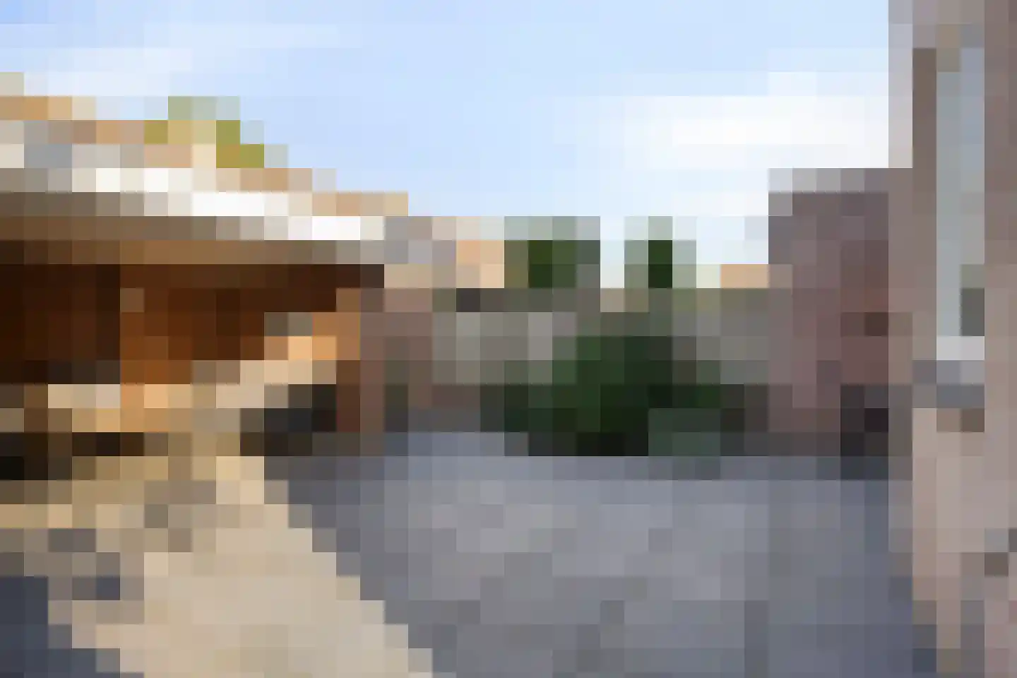 De Pellenwever 90 Boxtel thumbnail 33