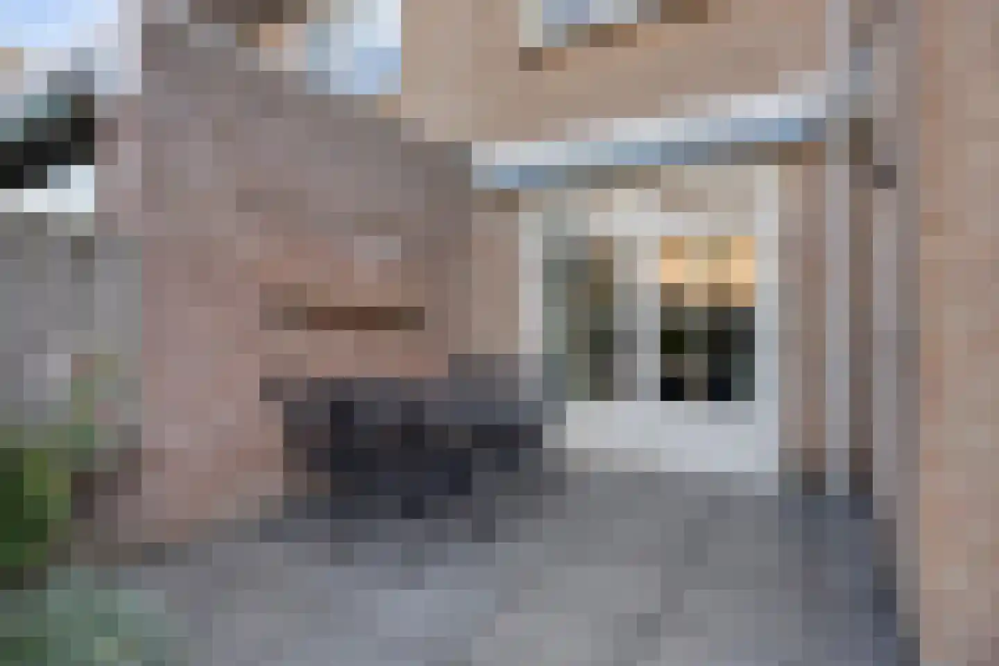 De Pellenwever 90 Boxtel thumbnail 34