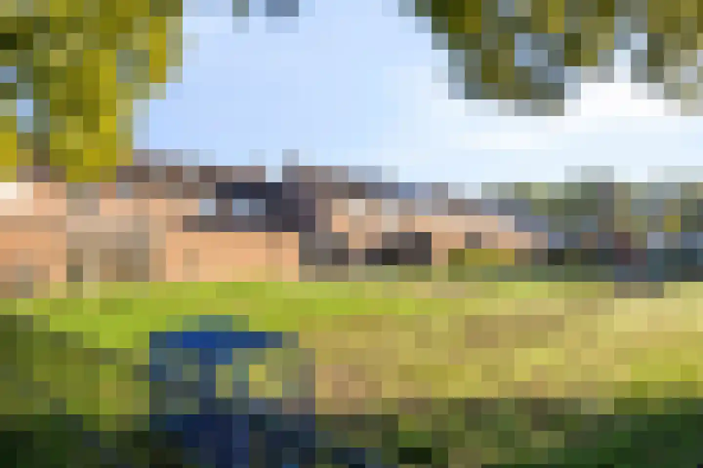 De Pellenwever 90 Boxtel thumbnail 35