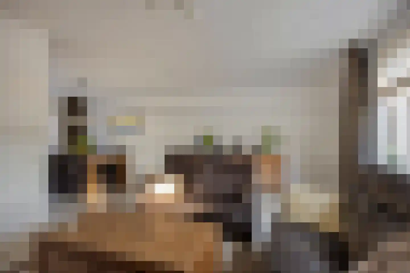De Pellenwever 90 Boxtel thumbnail 7