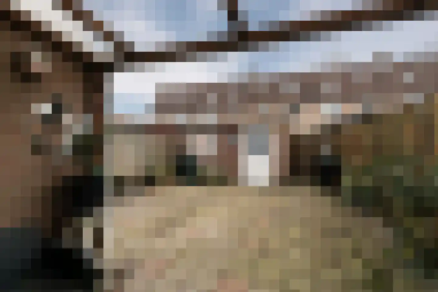 De Pellenwever 96 Boxtel thumbnail 25