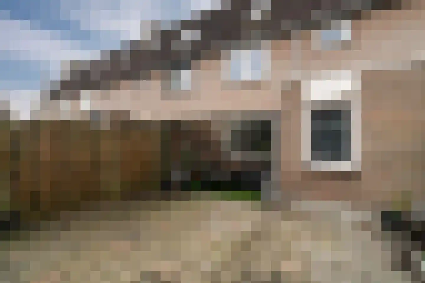 De Pellenwever 96 Boxtel thumbnail 26