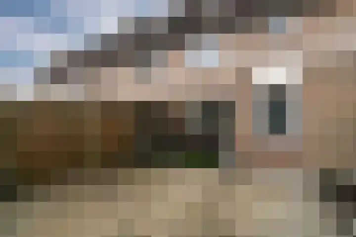 De Pellenwever 96 Boxtel thumbnail 26