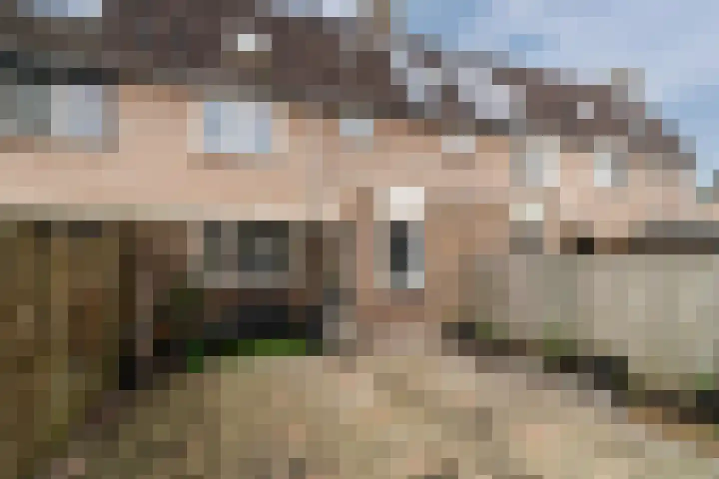 De Pellenwever 96 Boxtel thumbnail 27