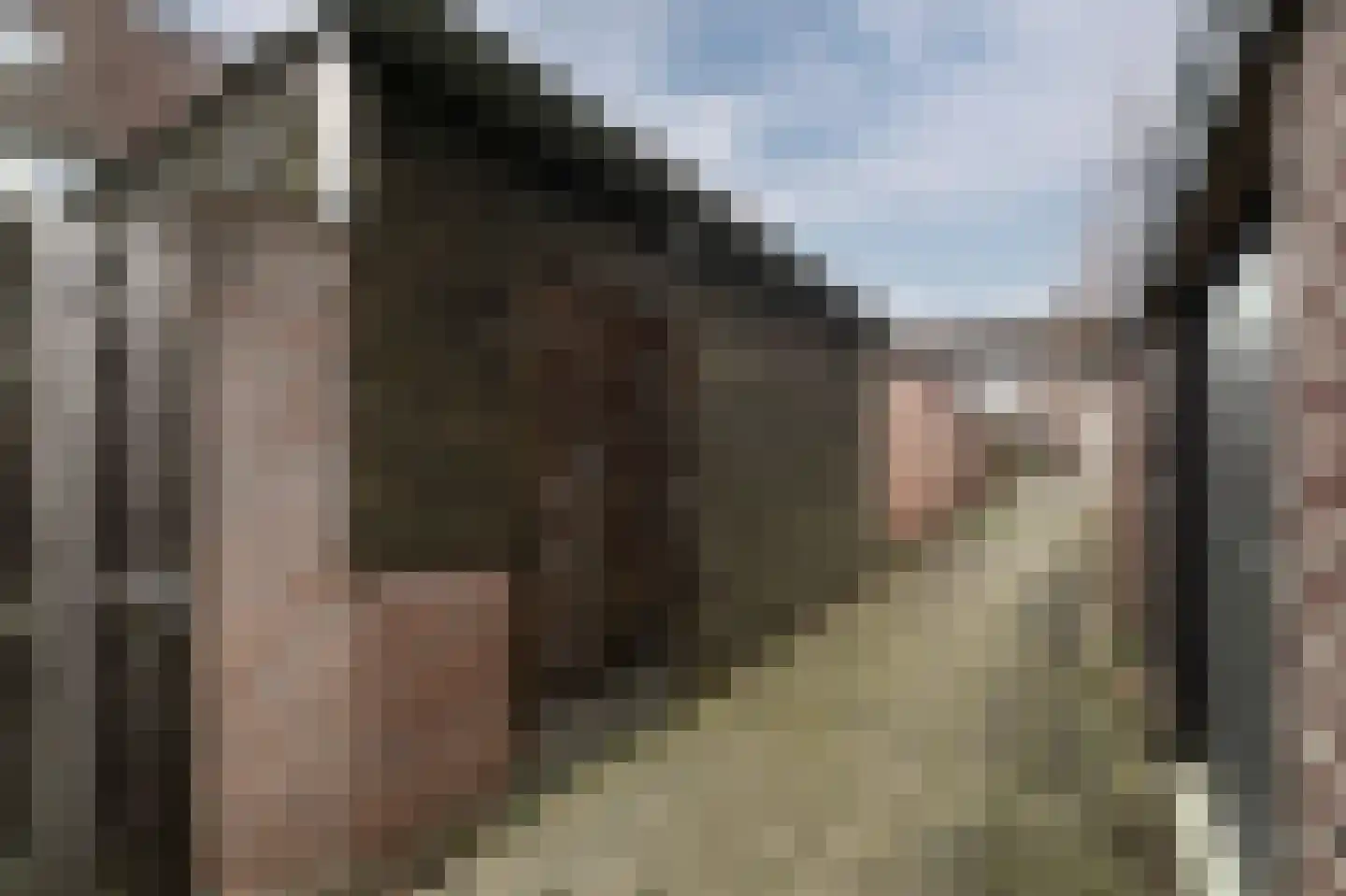 De Pellenwever 96 Boxtel thumbnail 29