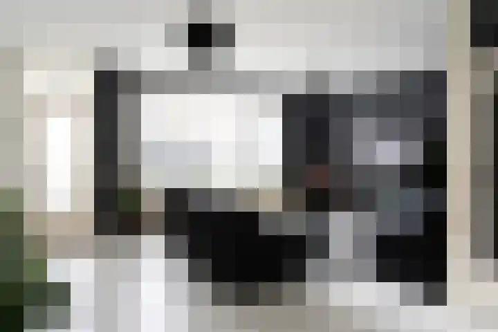 De Pellenwever 96 Boxtel thumbnail 4