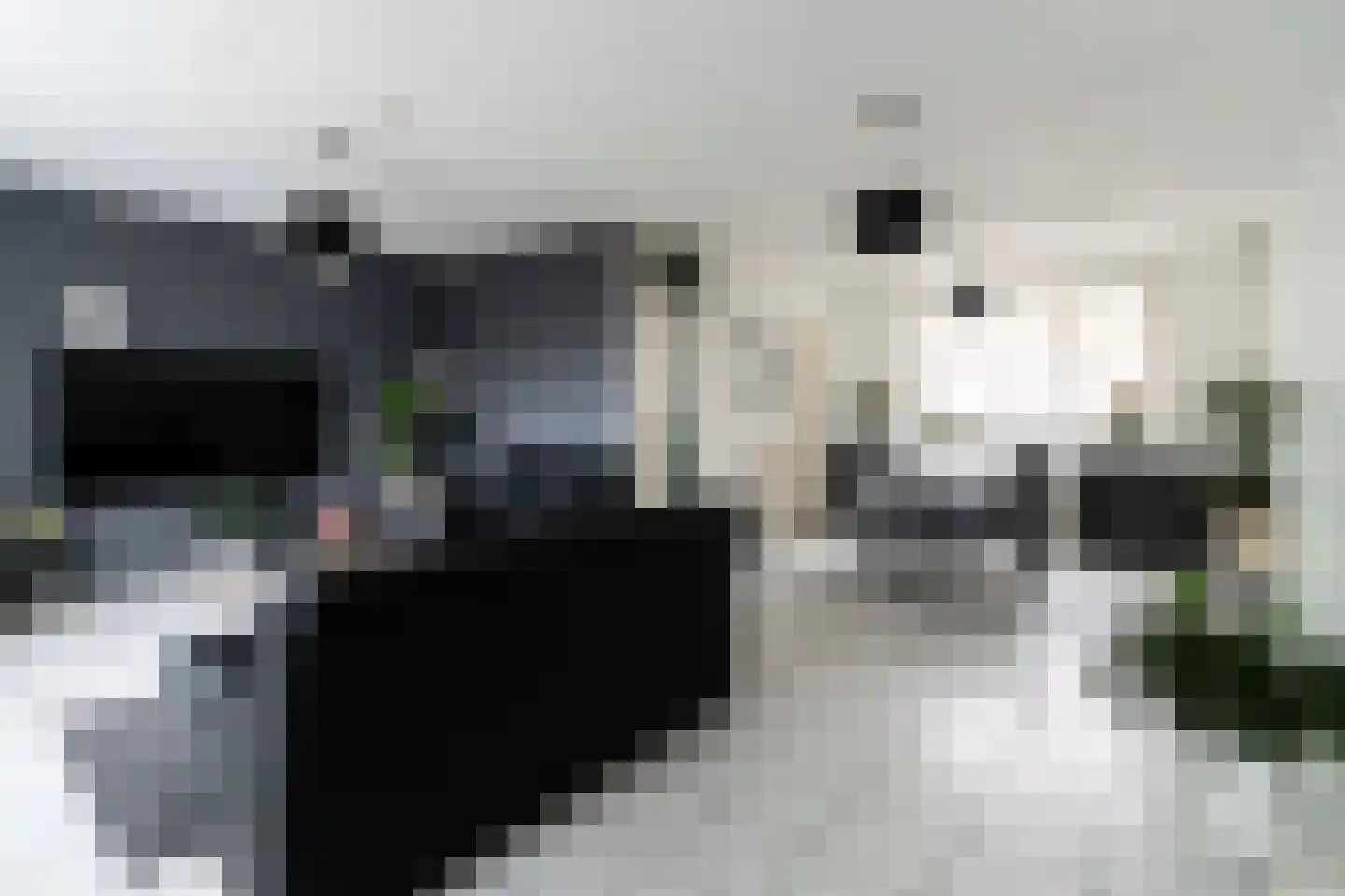 De Pellenwever 96 Boxtel thumbnail 8
