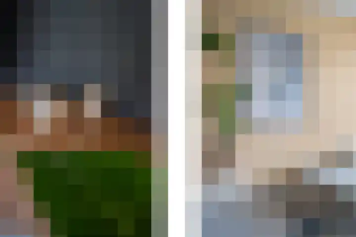 De Pelslap 26 Horst thumbnail 10