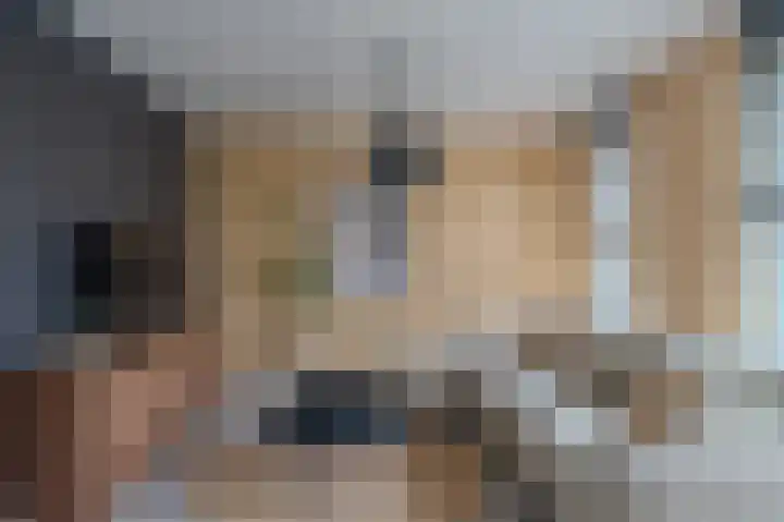 De Pelslap 26 Horst thumbnail 11
