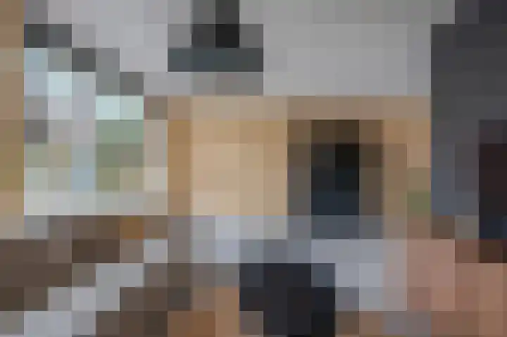De Pelslap 26 Horst thumbnail 12