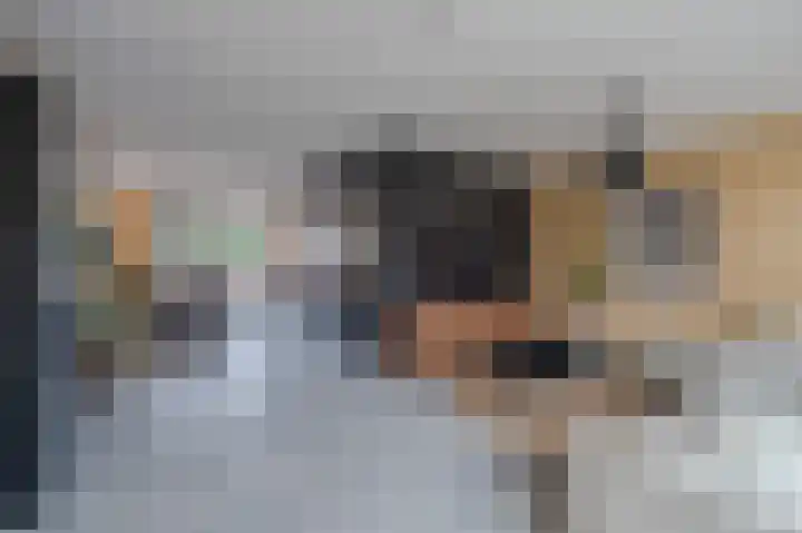 De Pelslap 26 Horst thumbnail 13