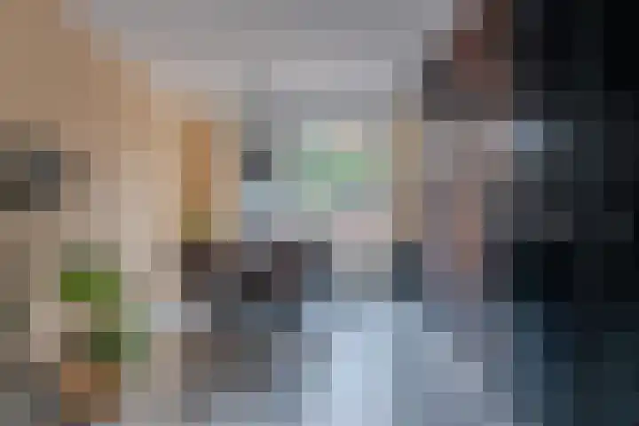 De Pelslap 26 Horst thumbnail 14