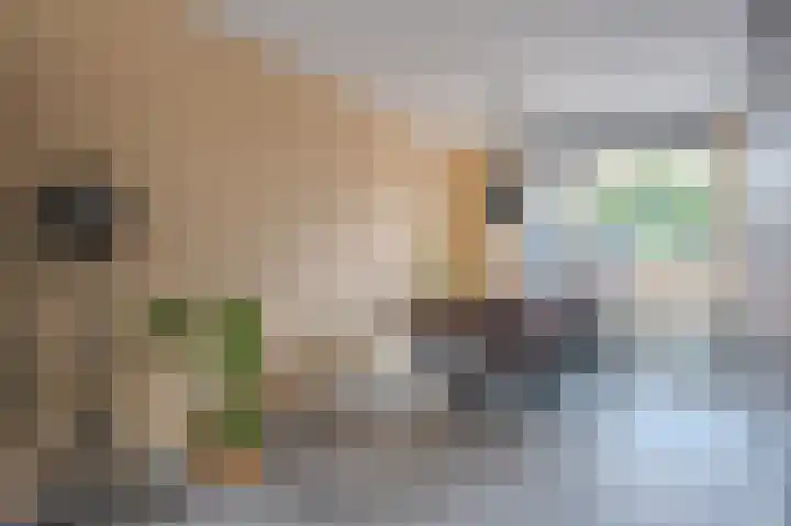 De Pelslap 26 Horst thumbnail 15