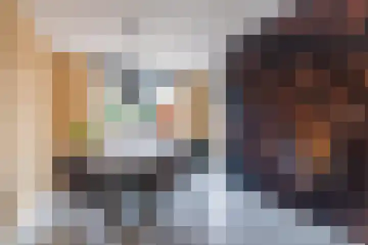 De Pelslap 26 Horst thumbnail 16