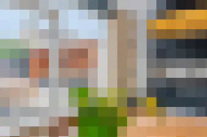 De Pelslap 26 Horst thumbnail 17
