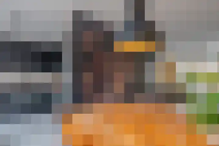 De Pelslap 26 Horst thumbnail 18