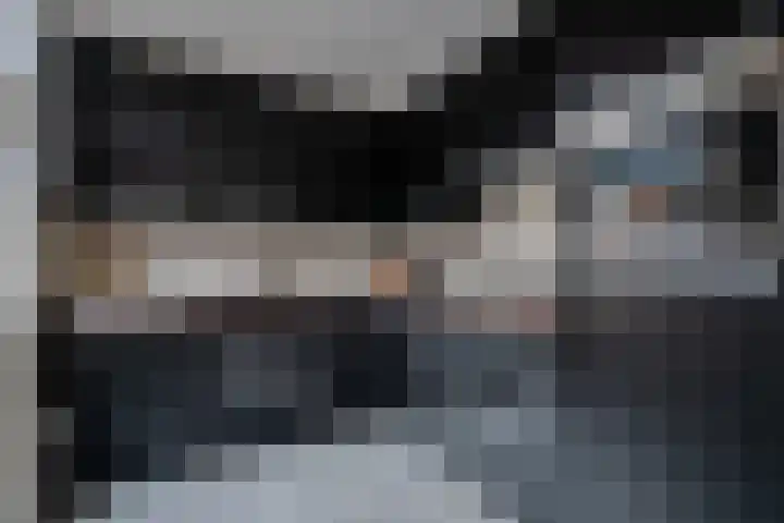 De Pelslap 26 Horst thumbnail 20