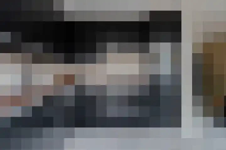 De Pelslap 26 Horst thumbnail 21