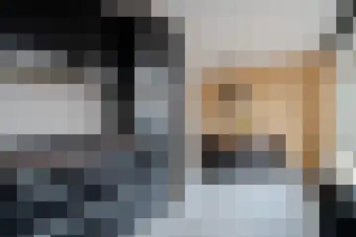 De Pelslap 26 Horst thumbnail 22