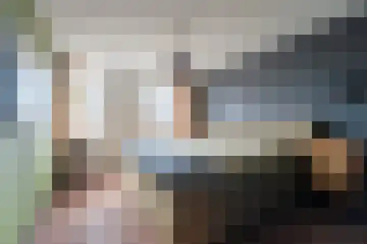 De Pelslap 26 Horst thumbnail 24