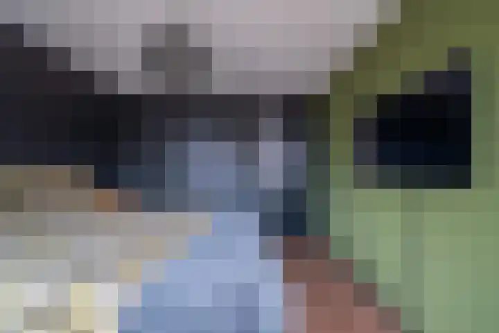 De Pelslap 26 Horst thumbnail 25