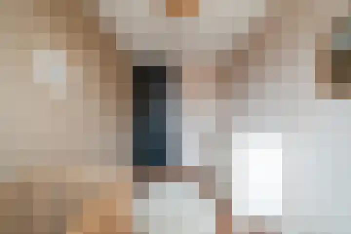 De Pelslap 26 Horst thumbnail 28