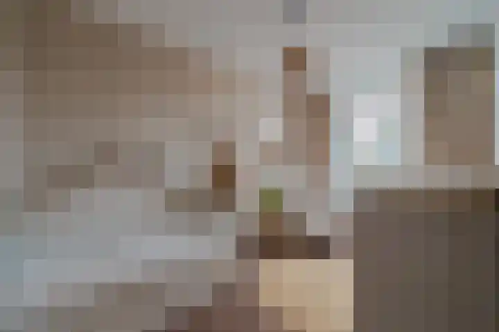 De Pelslap 26 Horst thumbnail 29