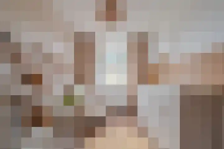 De Pelslap 26 Horst thumbnail 30