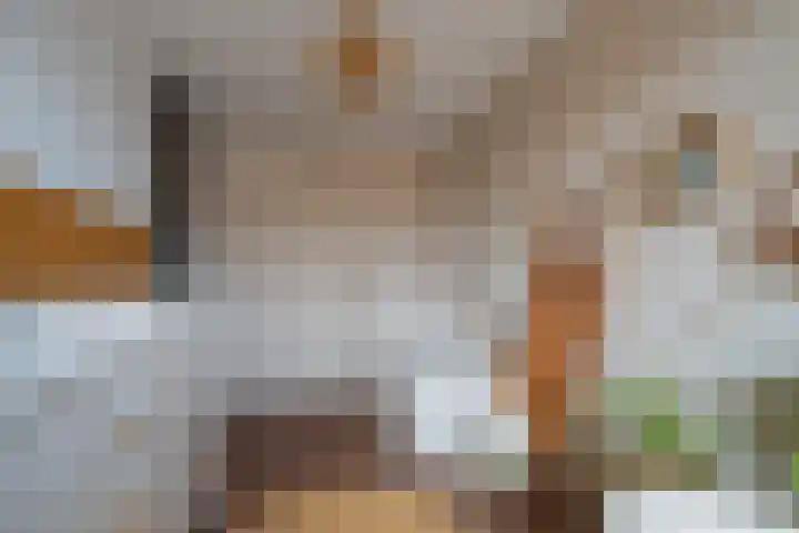 De Pelslap 26 Horst thumbnail 31
