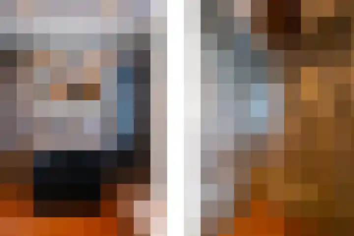 De Pelslap 26 Horst thumbnail 34