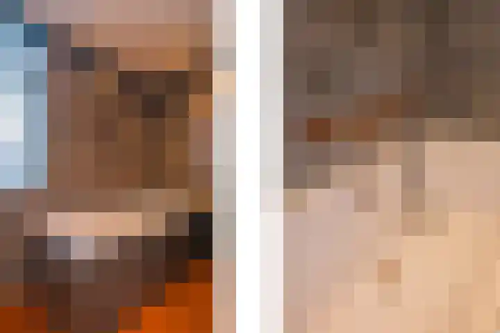 De Pelslap 26 Horst thumbnail 36