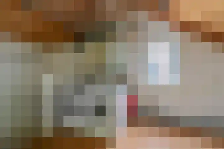 De Pelslap 26 Horst thumbnail 37