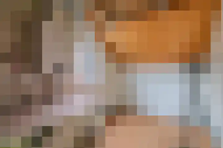 De Pelslap 26 Horst thumbnail 38