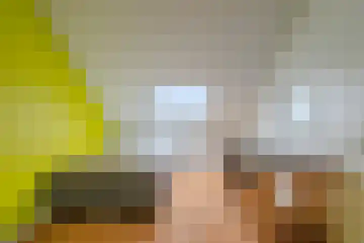 De Pelslap 26 Horst thumbnail 39
