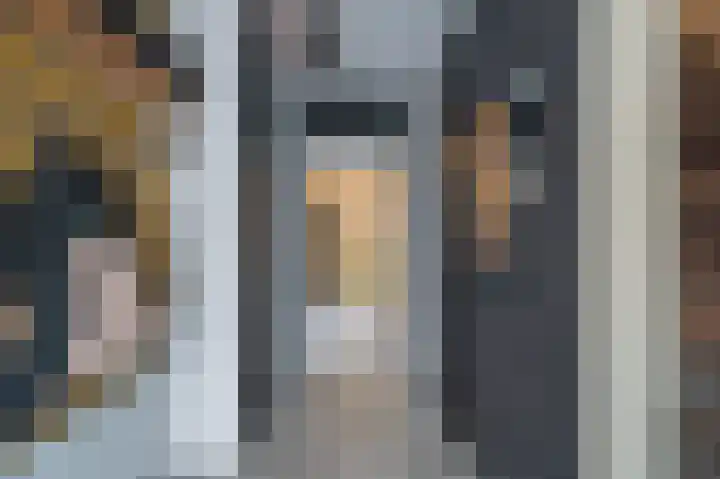 De Pelslap 26 Horst thumbnail 4